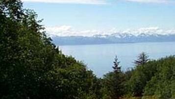 Une route bordée d’un côté par une végétation luxuriante et offrant de l’autre une vue dégagée sur une chaîne de montagnes et une étendue d’eau au loin.