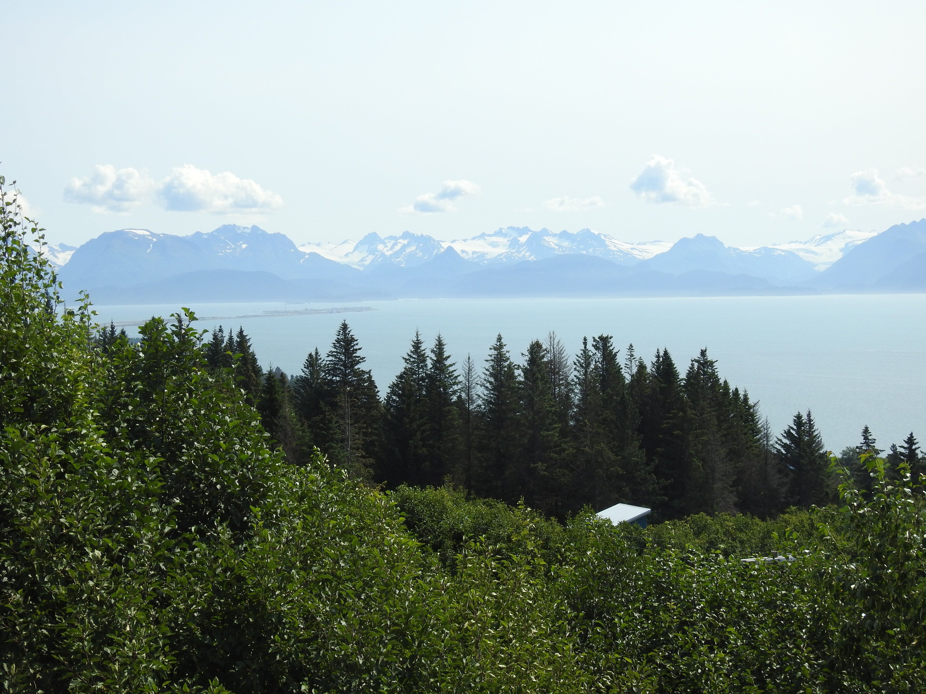 A view of a mountainous landscape with a lake and dense forest in the foreground.