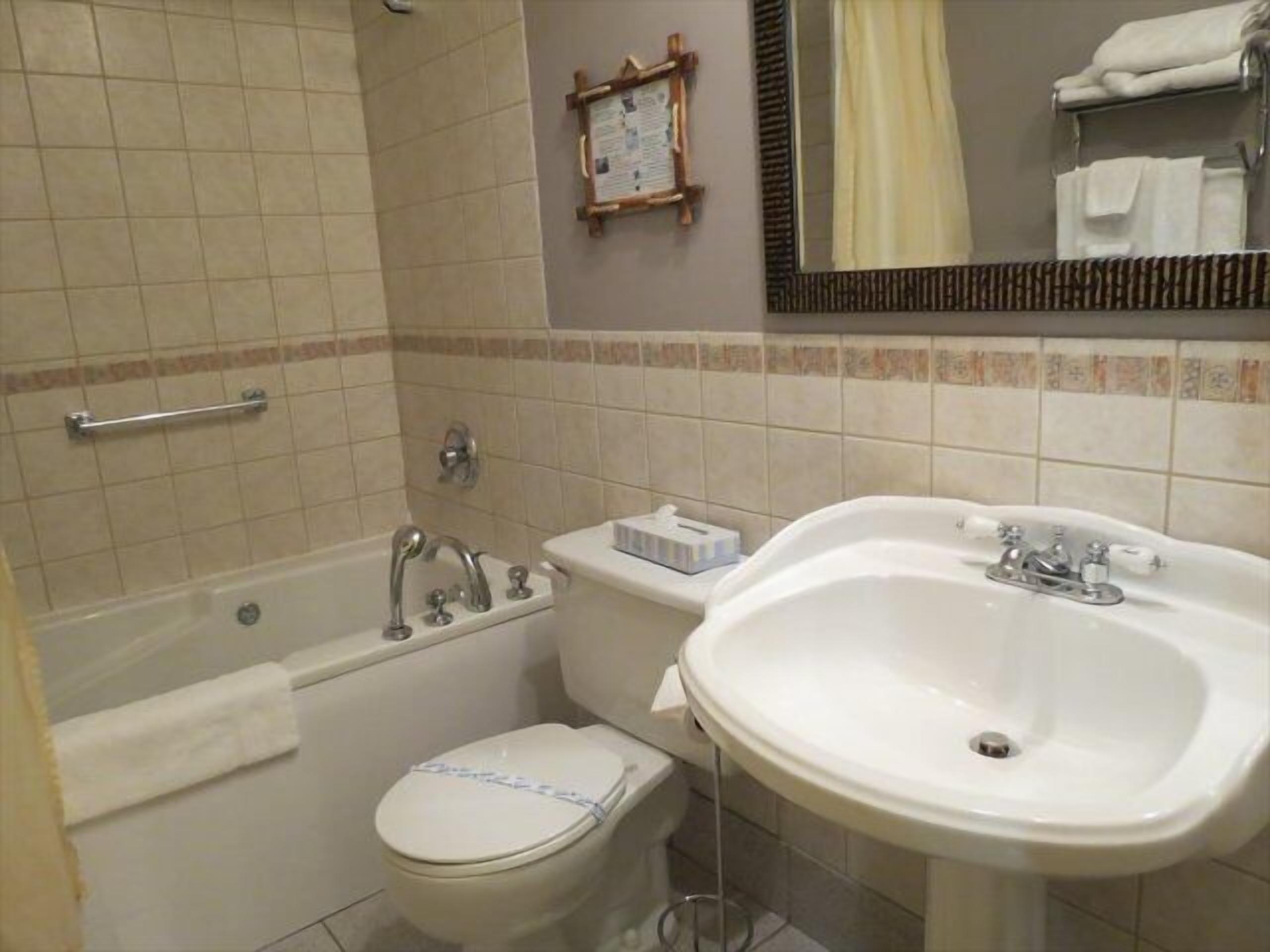 combined shower/bathtub, free toiletries, hair dryer, towels