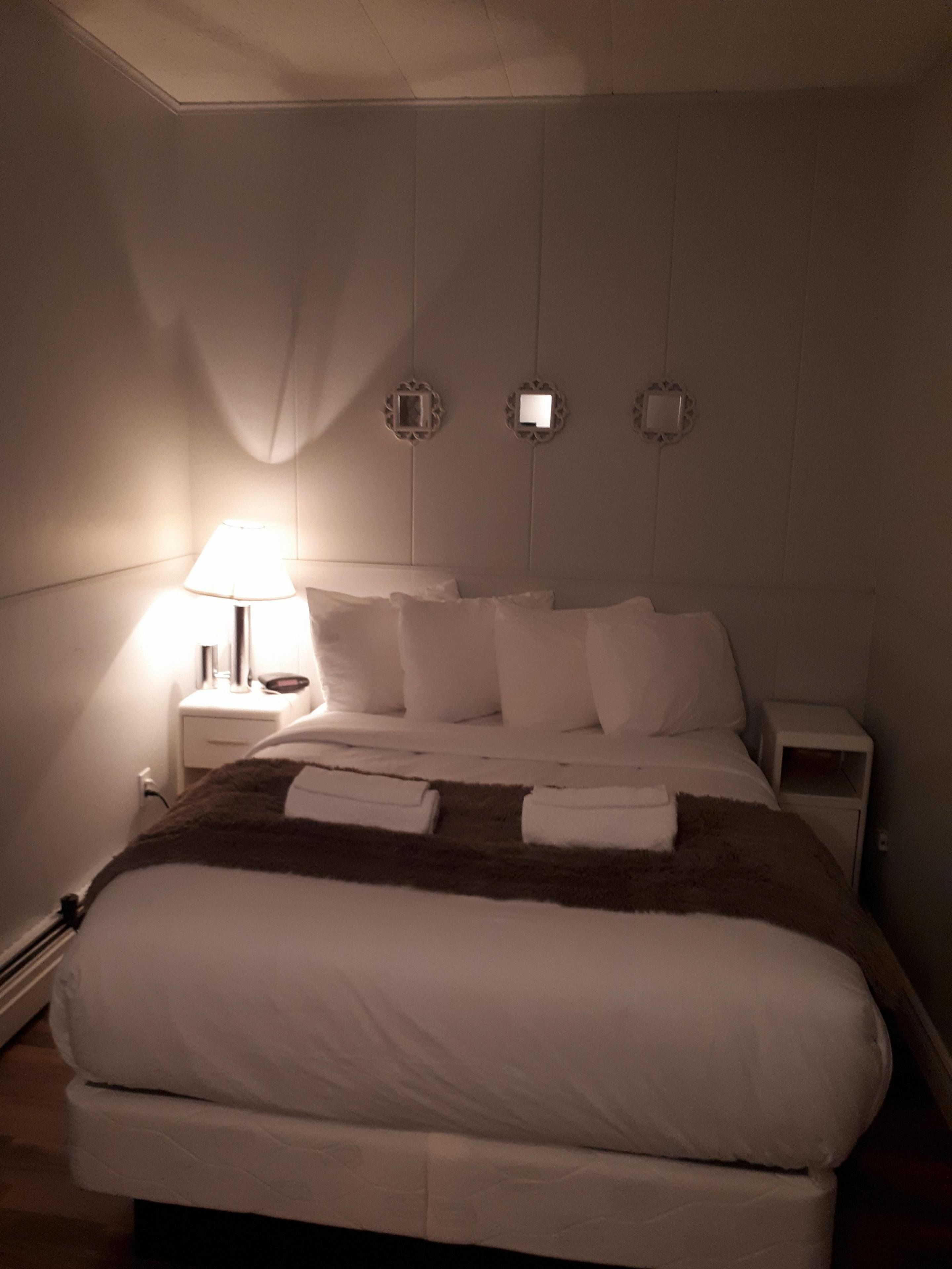 standard room, 1 double bed | hypo-allergenic bedding, desk, iron/ironing board, rollaway beds