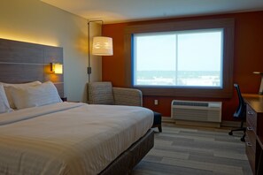 Desk, laptop workspace, blackout drapes, iron/ironing board - Holiday Inn Express & Suites Omaha - Millard Area by IHG (Omaha)