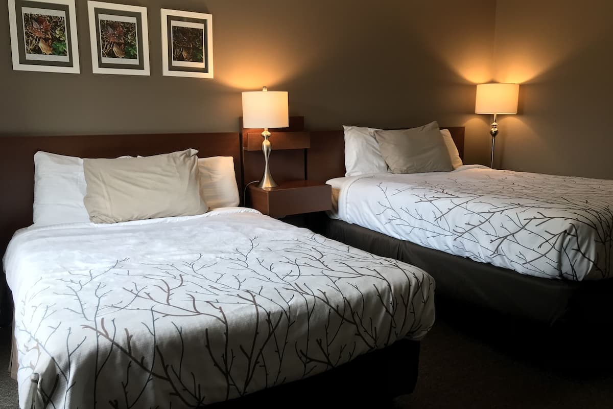 Une chambre d’hôtel avec deux lits, chacun recouvert d’une courtepointe blanche ornée d’un motif de branches. Deux lampes murales sont fixées de part et d’autre des lits, et trois tableaux encadrés sont accrochés au mur au-dessus des lits.