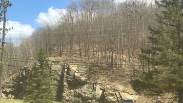 A natural landscape with a rocky outcrop, trees, and a car parked on a grassy area.