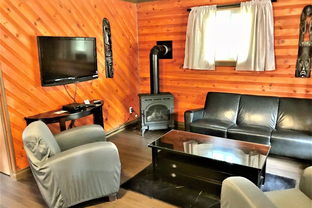 Un salon confortable avec une télévision, une cheminée, un canapé et une table basse.
