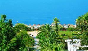 Una località balneare con vista diretta sull'oceano, palme e ombrelloni da spiaggia.