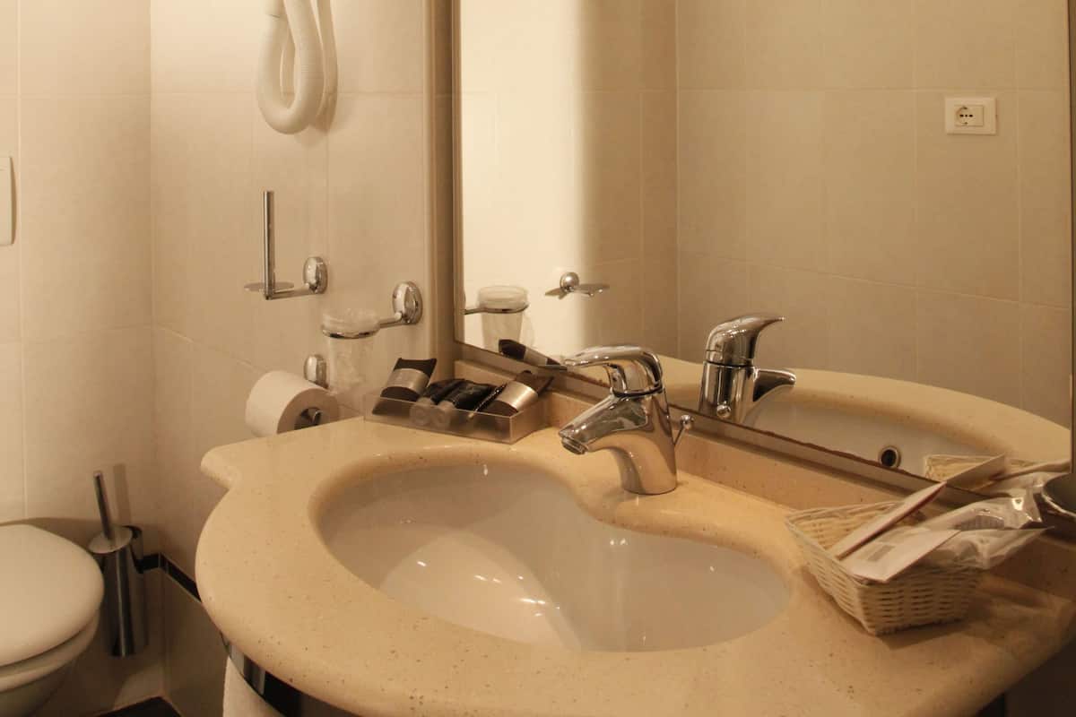 shower, free toiletries, hair dryer, bidet