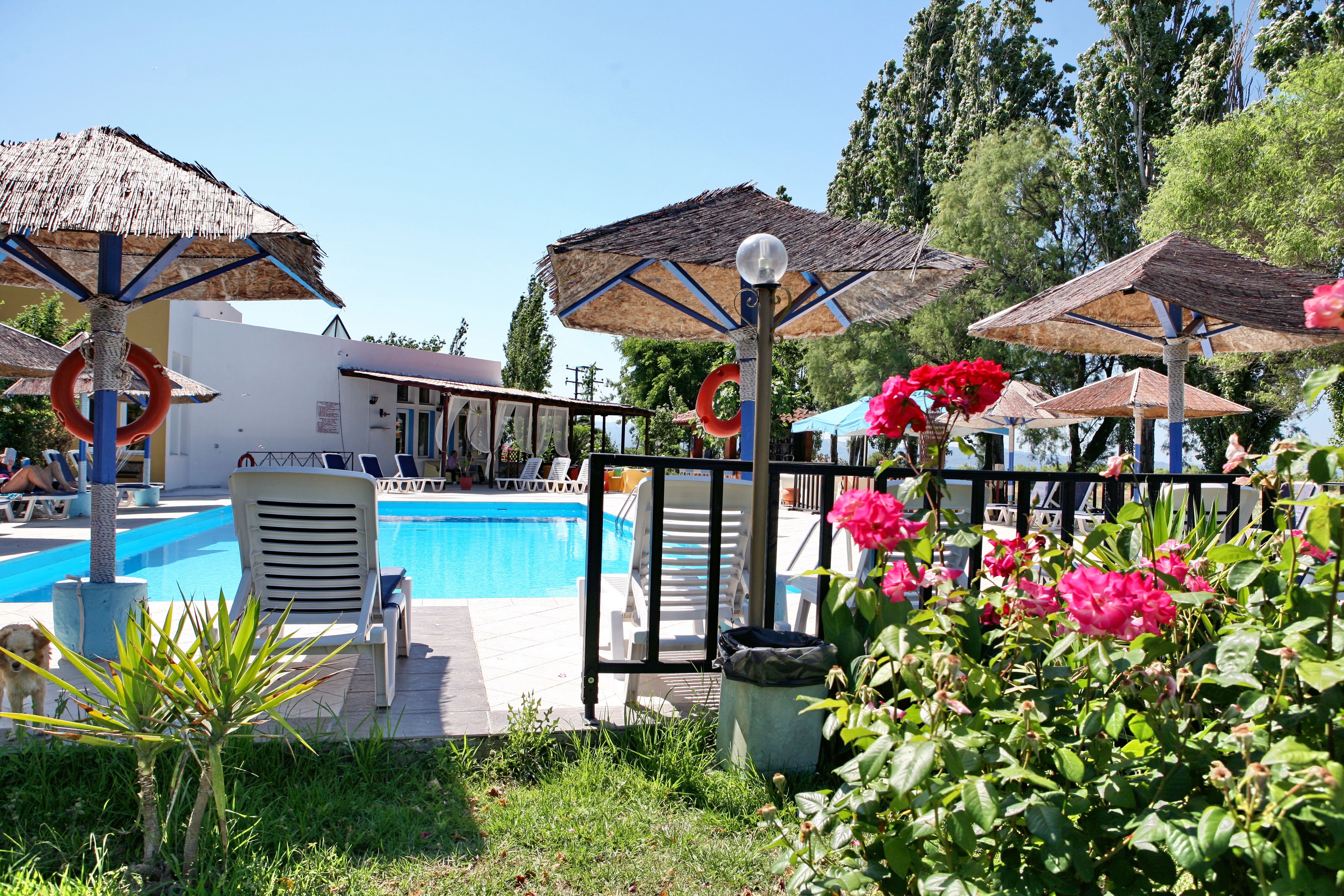 Un espace piscine agrémenté de chaises longues et de parasols, entouré de verdure et de fleurs.