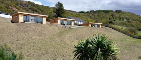 A hillside property with modern houses, a palm tree, and a rocky landscape.
