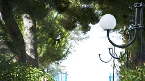 A pathway leading to a beach with a blue gate, surrounded by greenery and a lamp post. - Villaggio Le Orchidee (Vieste)