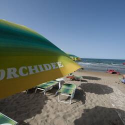 On the beach, sun loungers, beach umbrellas