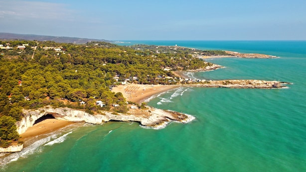 Vue aérienne d’une zone côtière avec une plage, des affleurements rocheux et une végétation luxuriante.