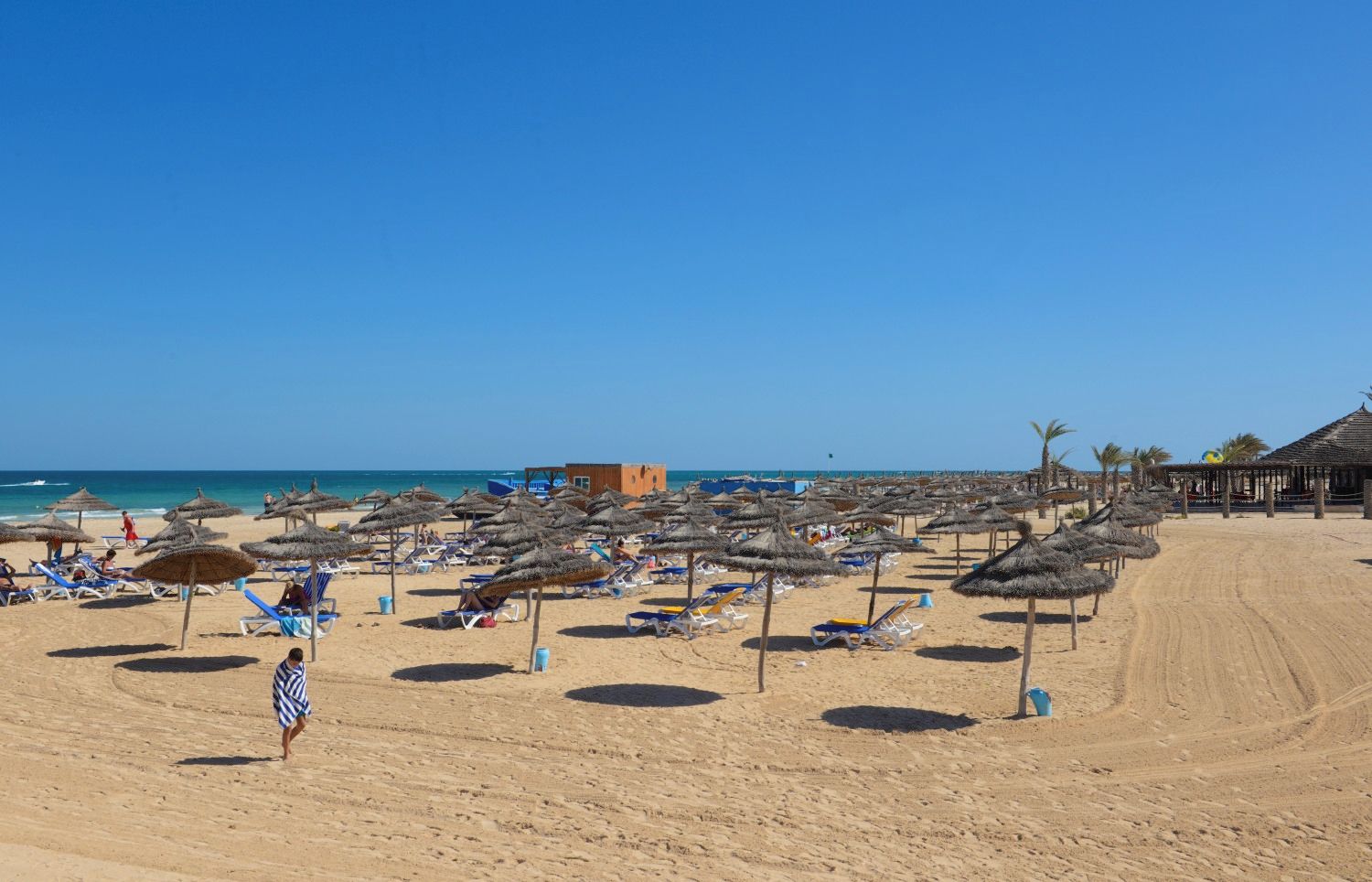 Una playa con tumbonas y sombrillas de paja, cielo despejado y un edificio al fondo.