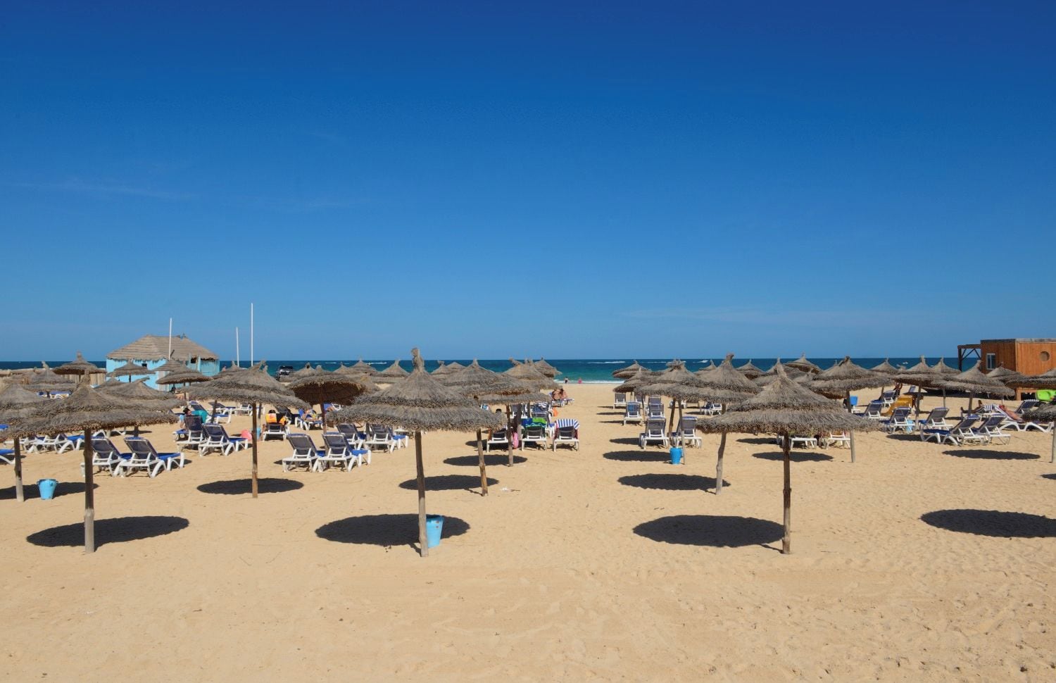 A beach with rows of sun loungers and thatched umbrellas, a clear sky, and a calm sea.