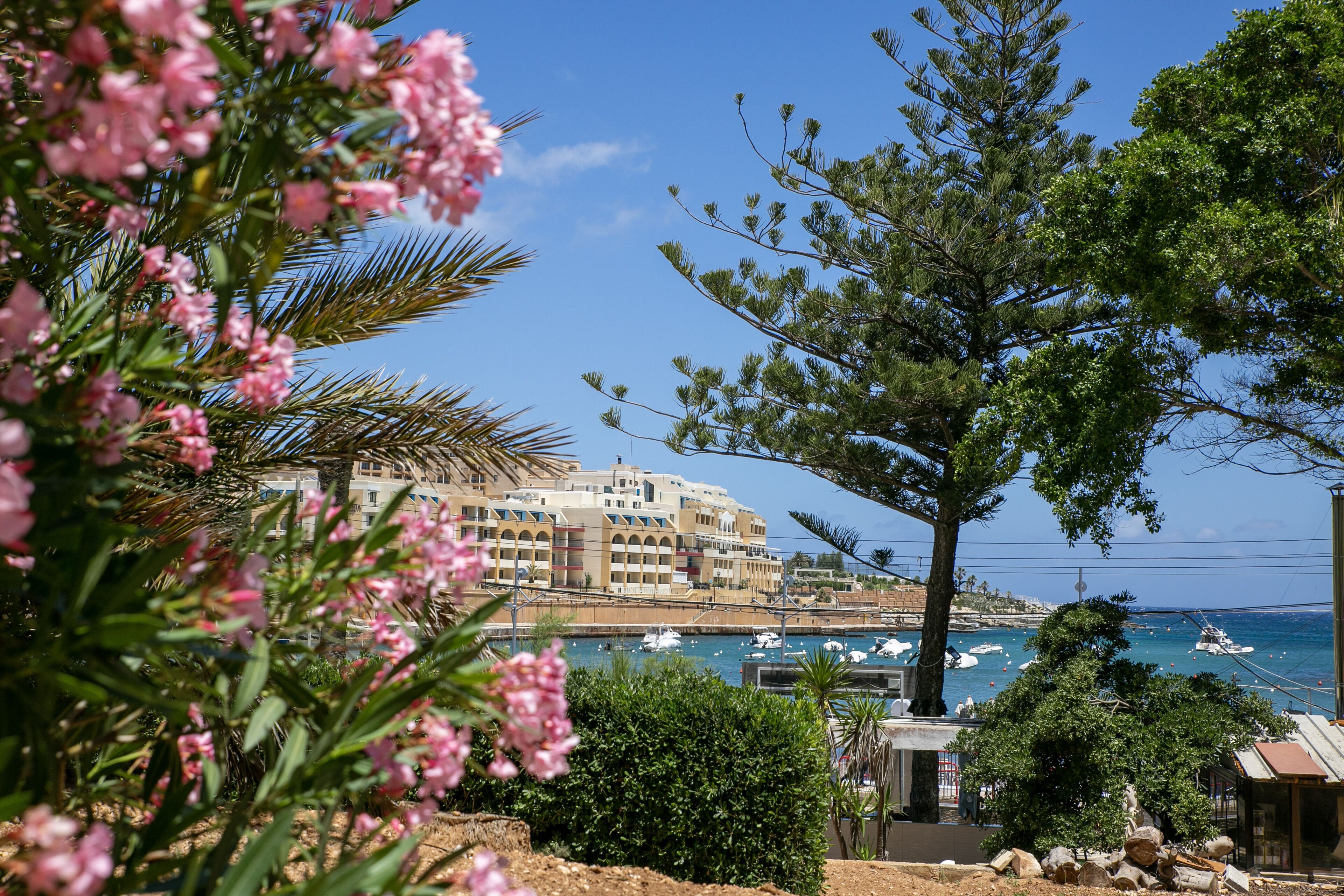 Photo - Beach Garden Hotel