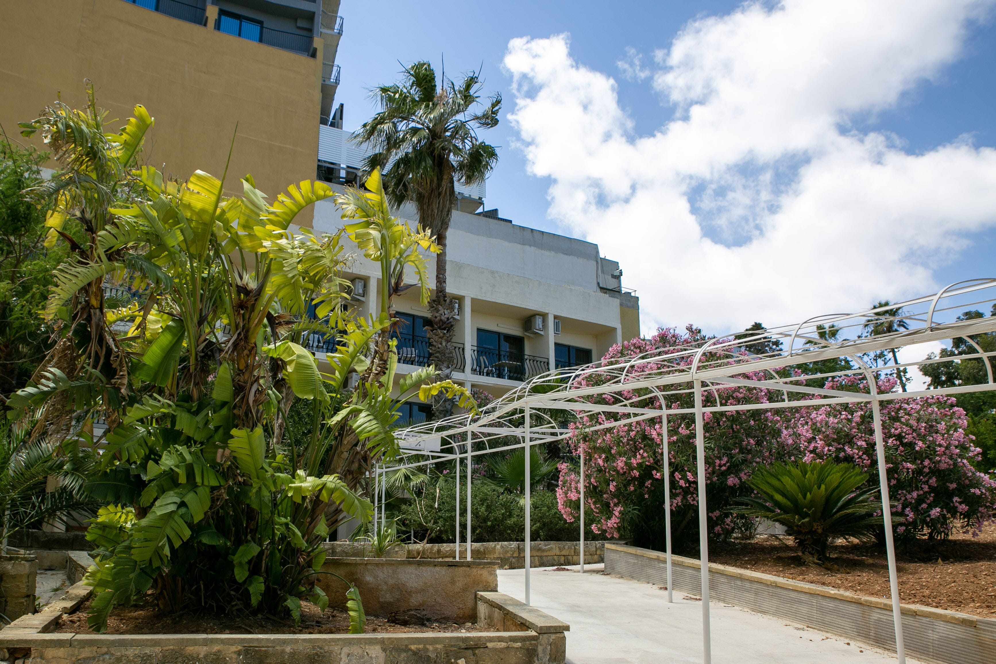 Un jardín con un porche metálico, diferentes plantas y un edificio al fondo.
