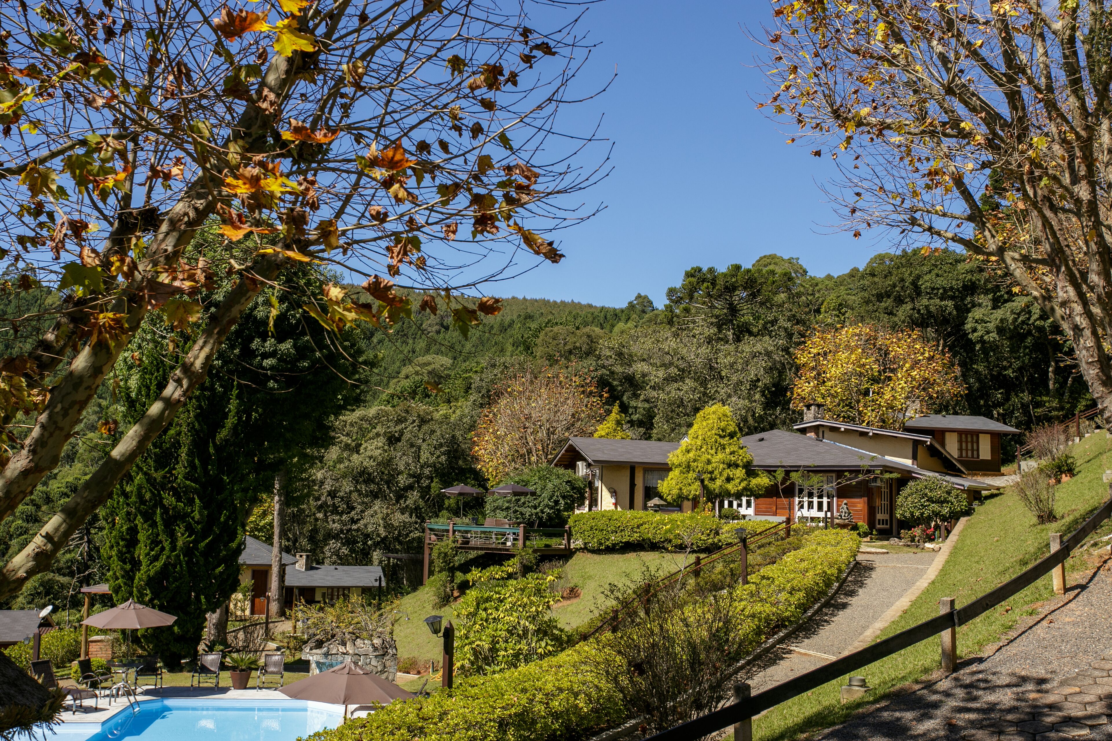 A hillside property with a swimming pool, a covered patio, and a house with a sloped roof.