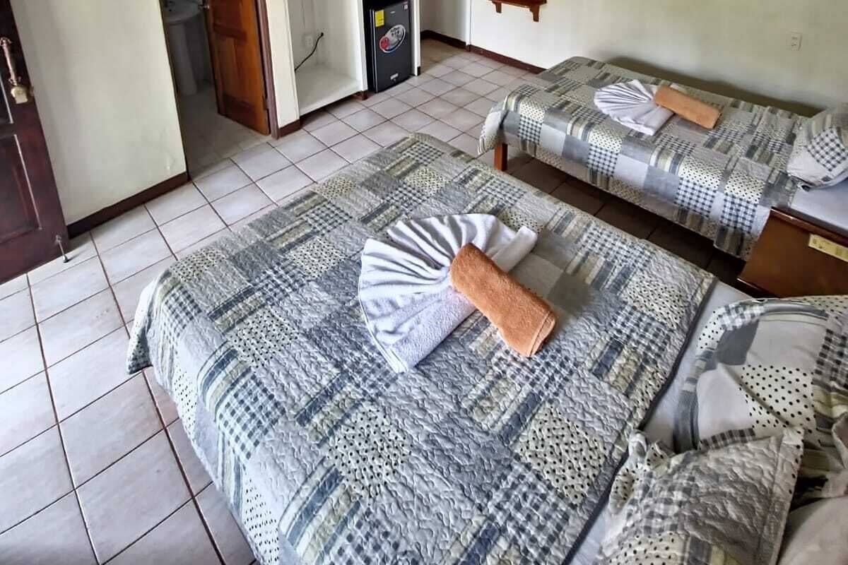 A bedroom with two beds, a TV, a wardrobe, and a ceiling fan.