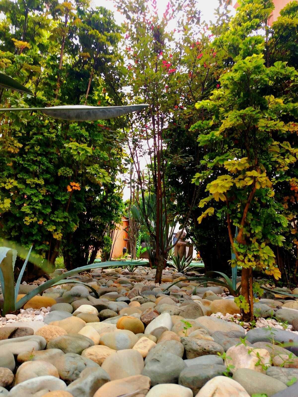 A garden with a variety of plants and a pathway made of large rocks.