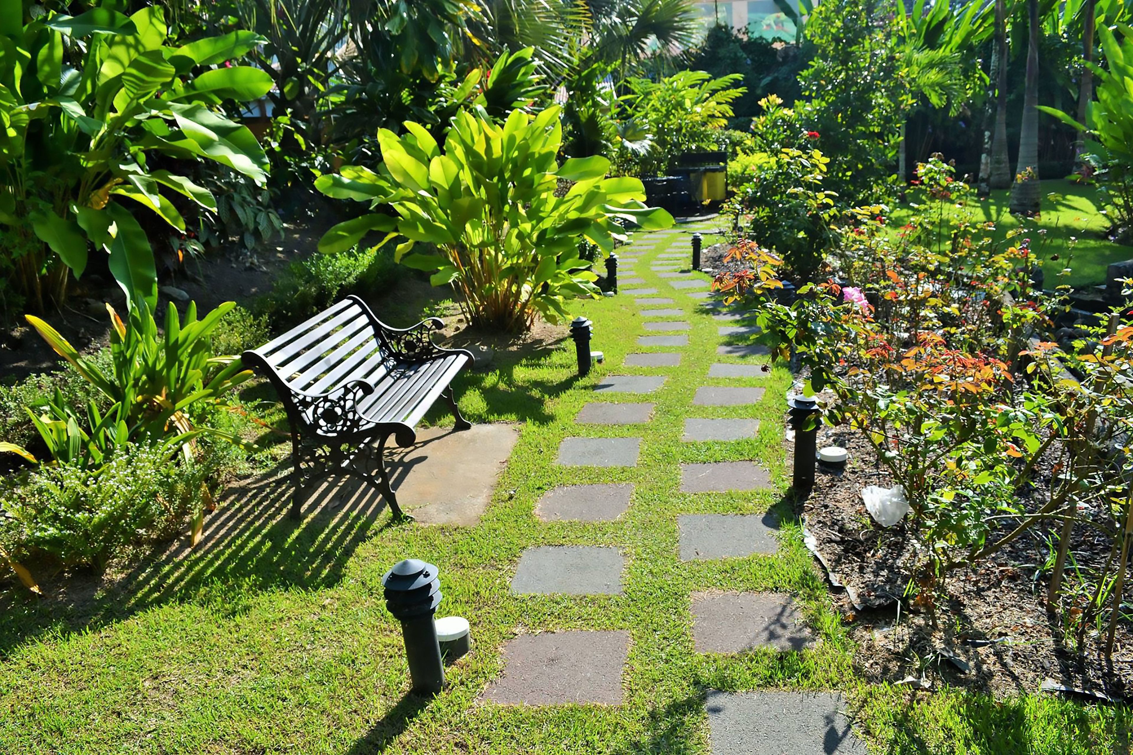 A garden pathway with a bench, surrounded by lush greenery and plants.