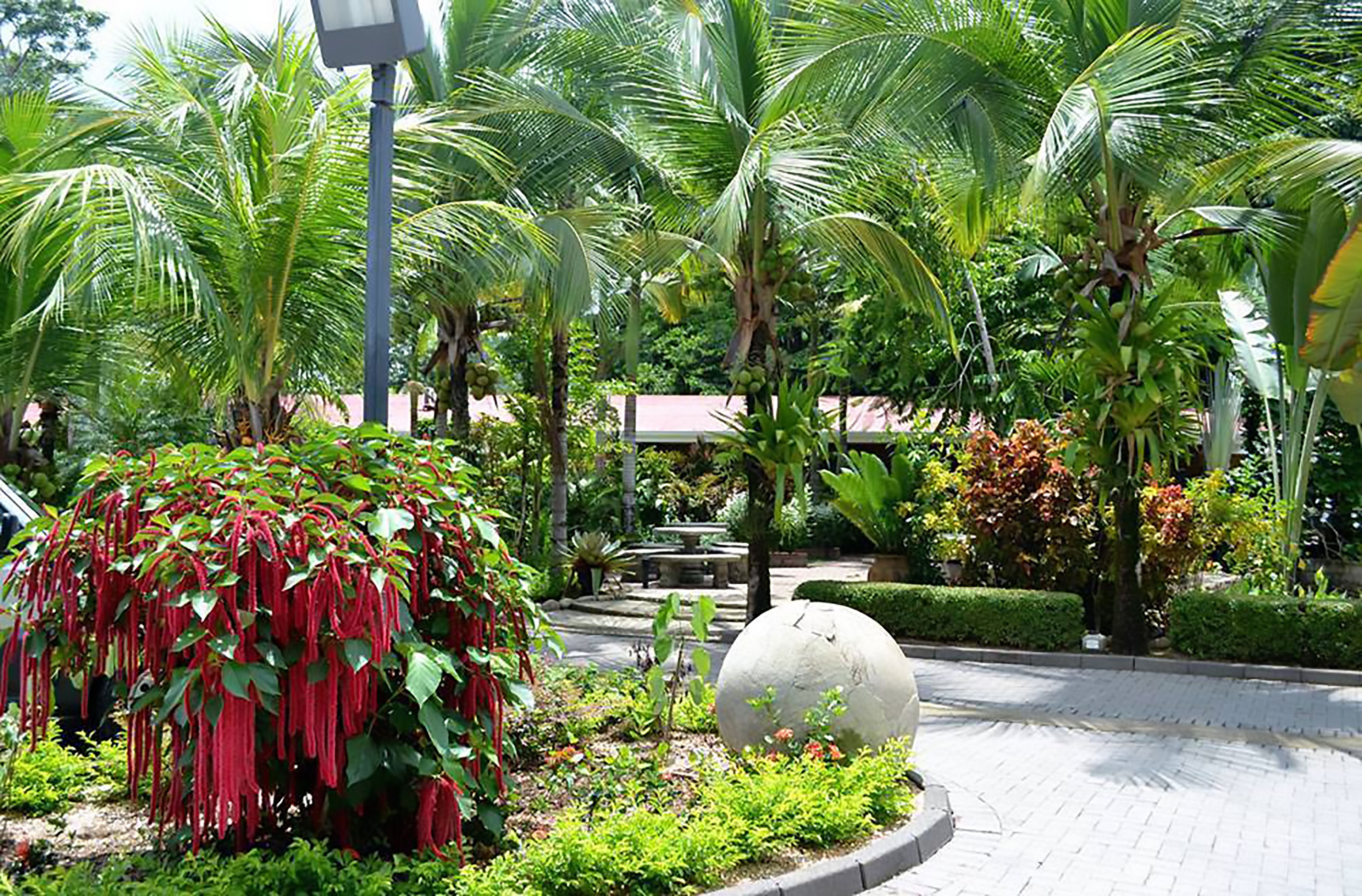 A landscaped garden with palm trees, a white spherical sculpture, and a variety of plants.