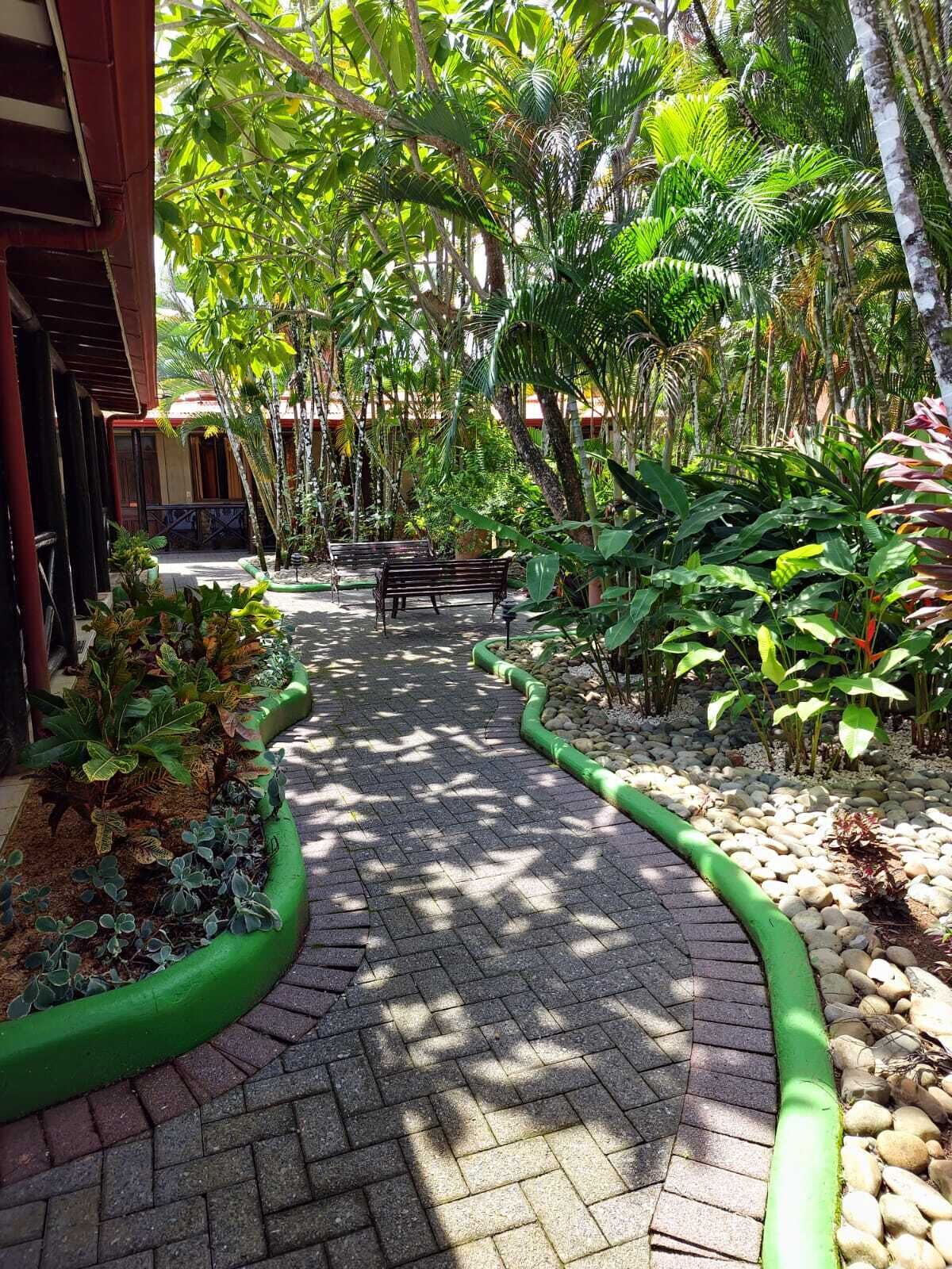 A paved pathway with benches, surrounded by lush greenery and a variety of plants.
