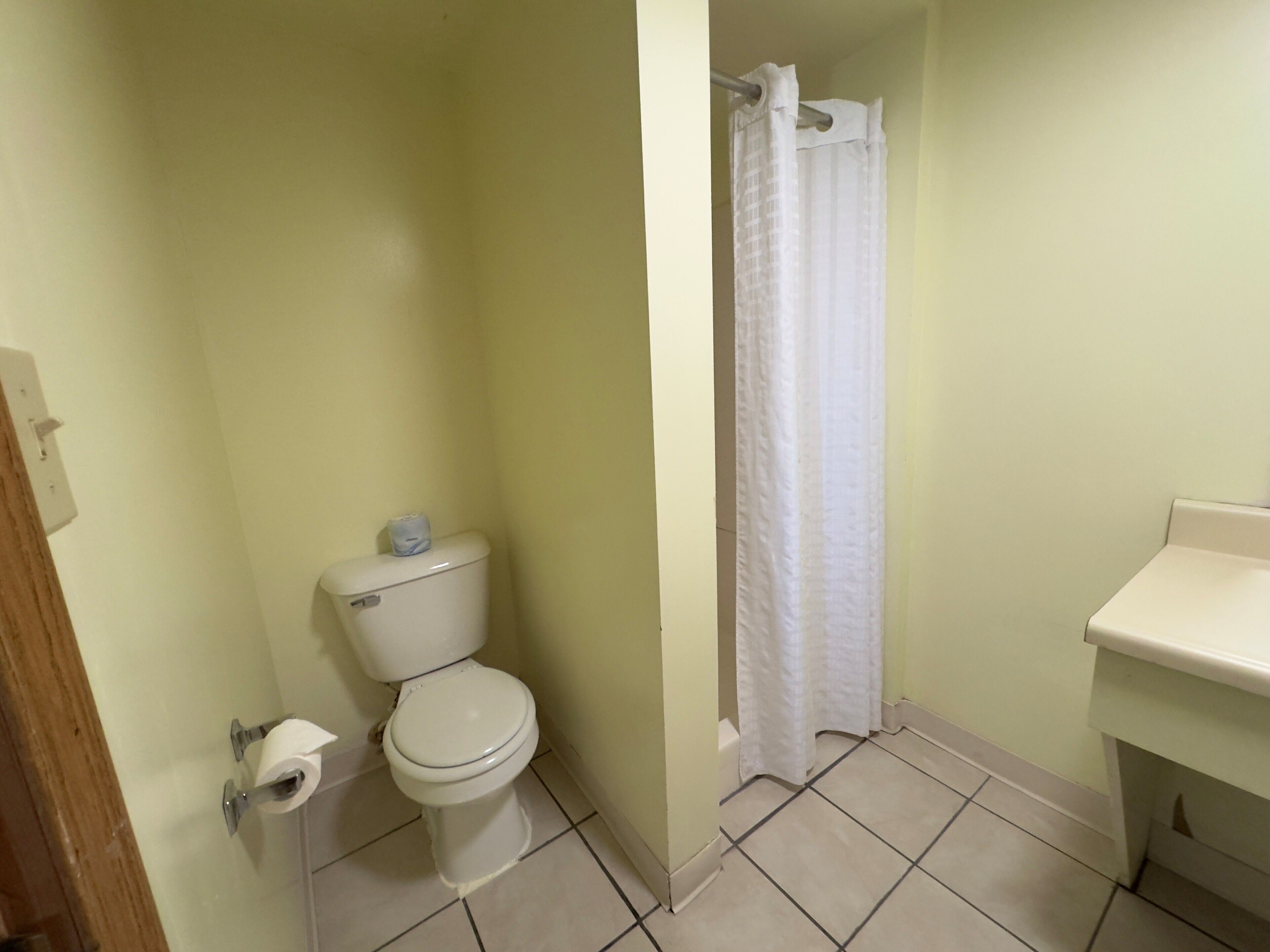 A bathroom with a toilet, a shower curtain, and a sink.