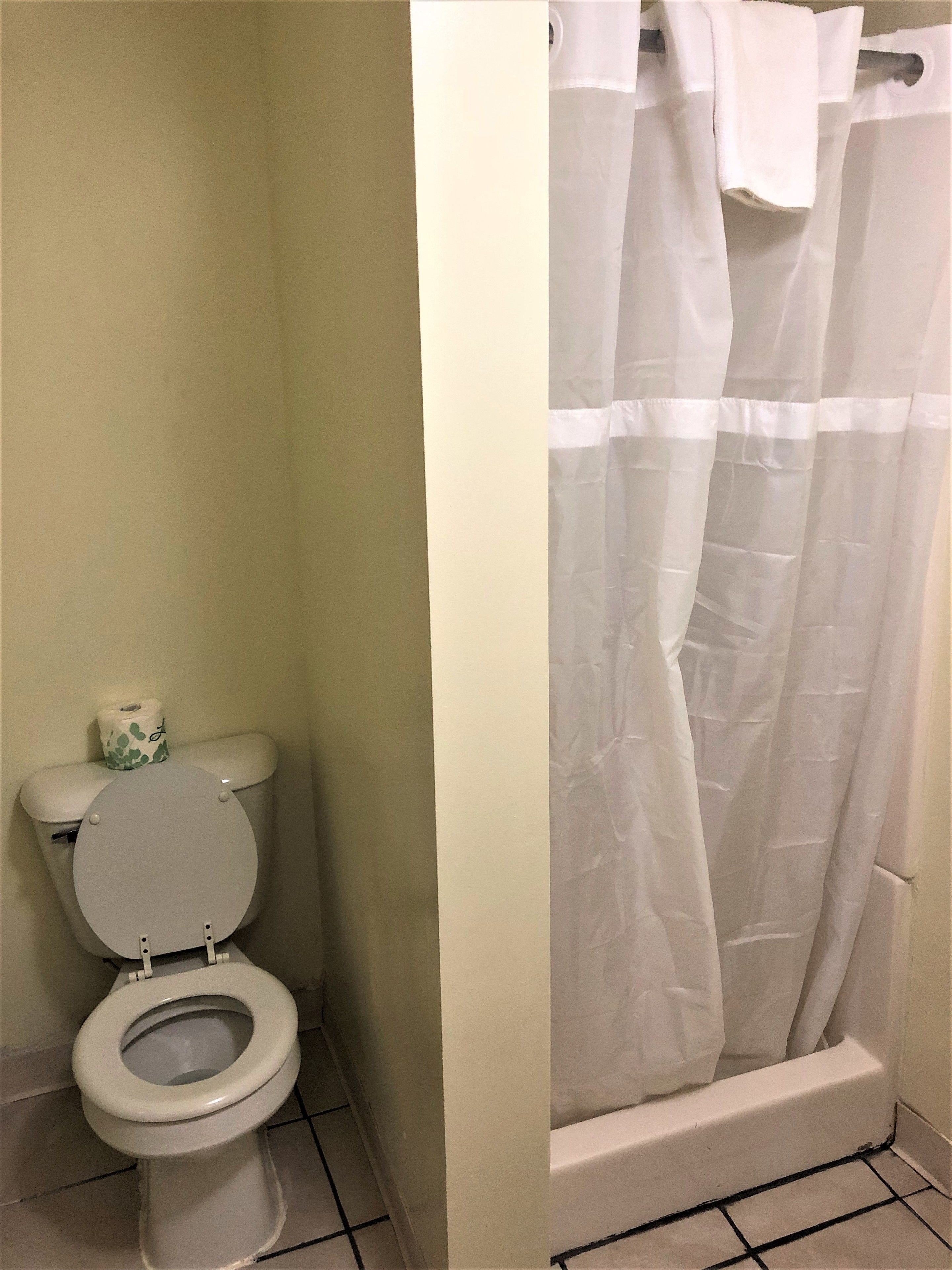 A bathroom with a toilet, a roll of toilet paper, and a shower curtain.