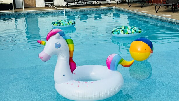 A swimming pool with inflatable unicorn floats and a beach ball. - Quality Lodge (Sandusky)