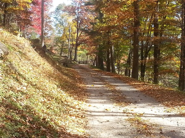 A paved path through a forest with trees displaying autumn foliage. - Arrowmont Stables & Cabins (Cullowhee)