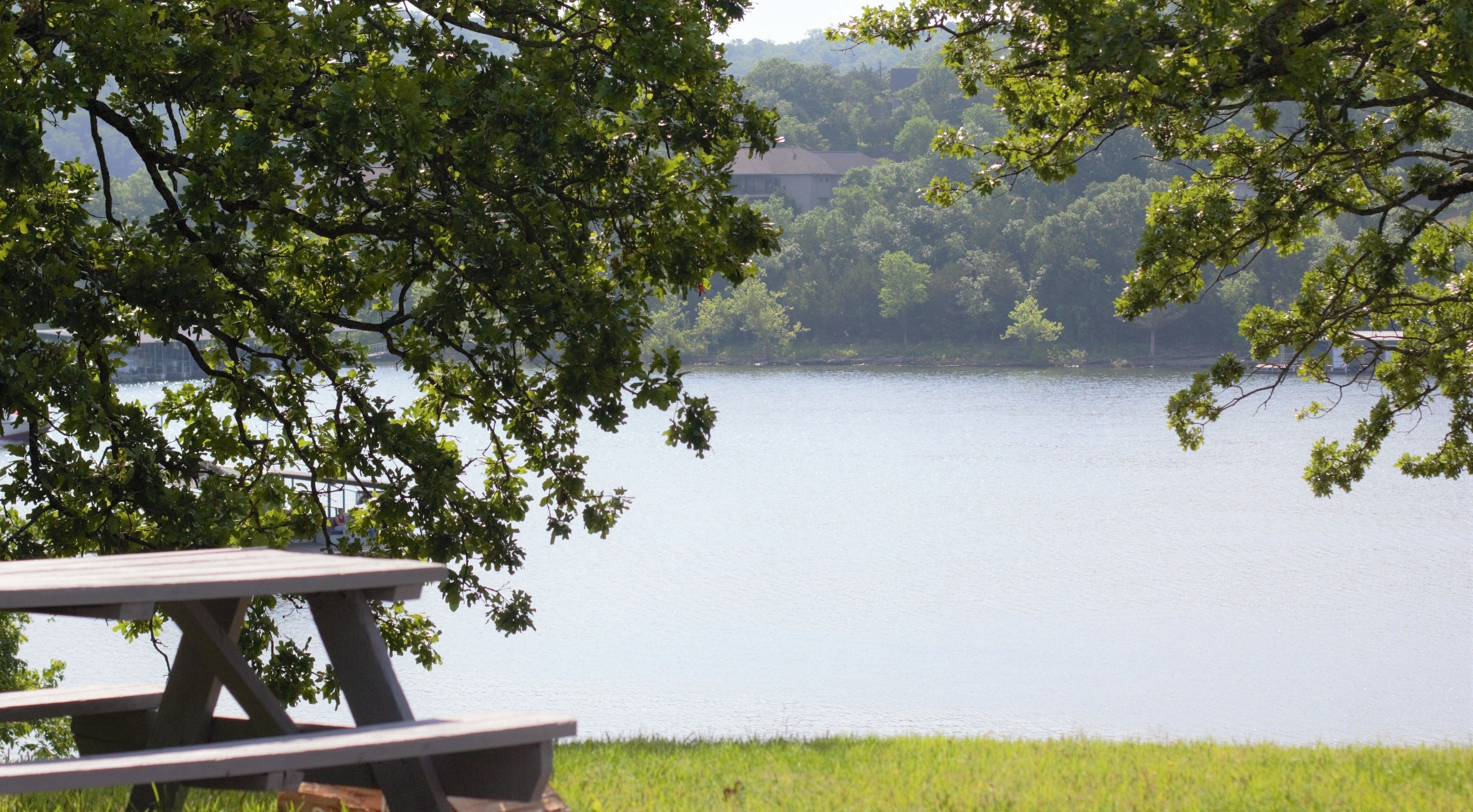 A lakeside picnic table with a view of a calm lake and surrounding trees.