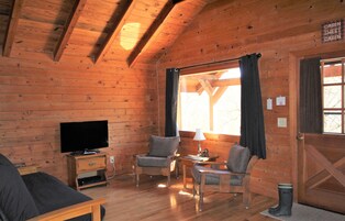 Deluxe Cabin, 1 Bedroom, Kitchenette, Lake View | Living room | Flat-screen TV