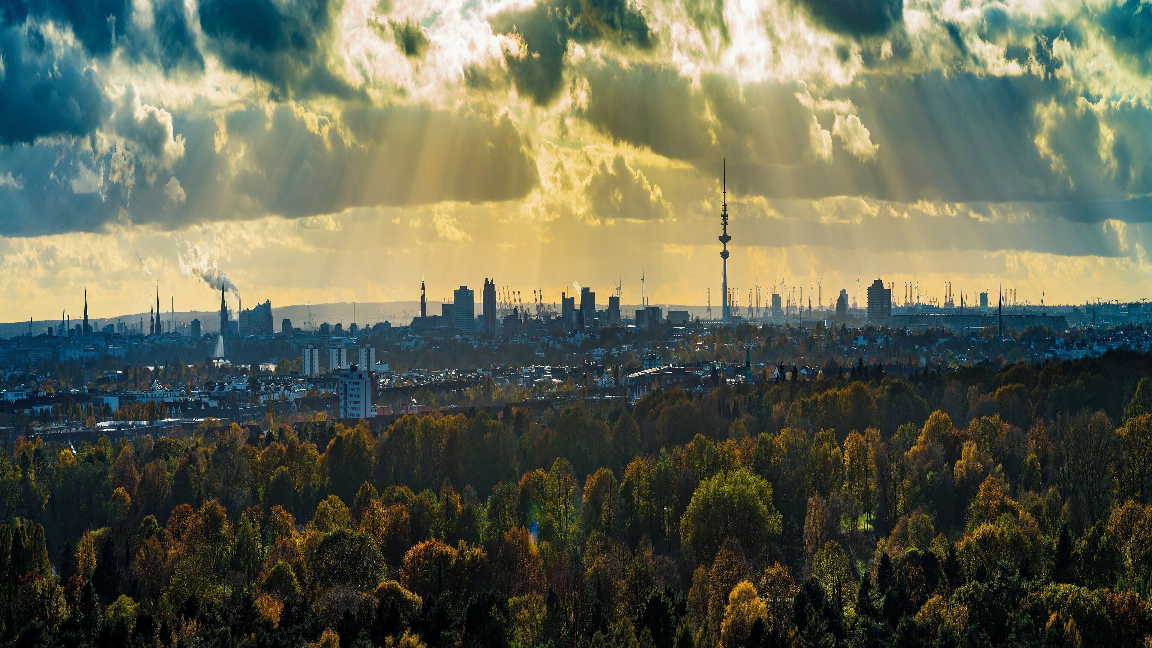 A cityscape with a dense forest in the foreground, a variety of buildings including a prominent tower, and industrial structures in the background.
