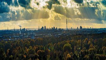 A cityscape with a dense forest in the foreground, a variety of buildings including a prominent tower, and industrial structures in the background.