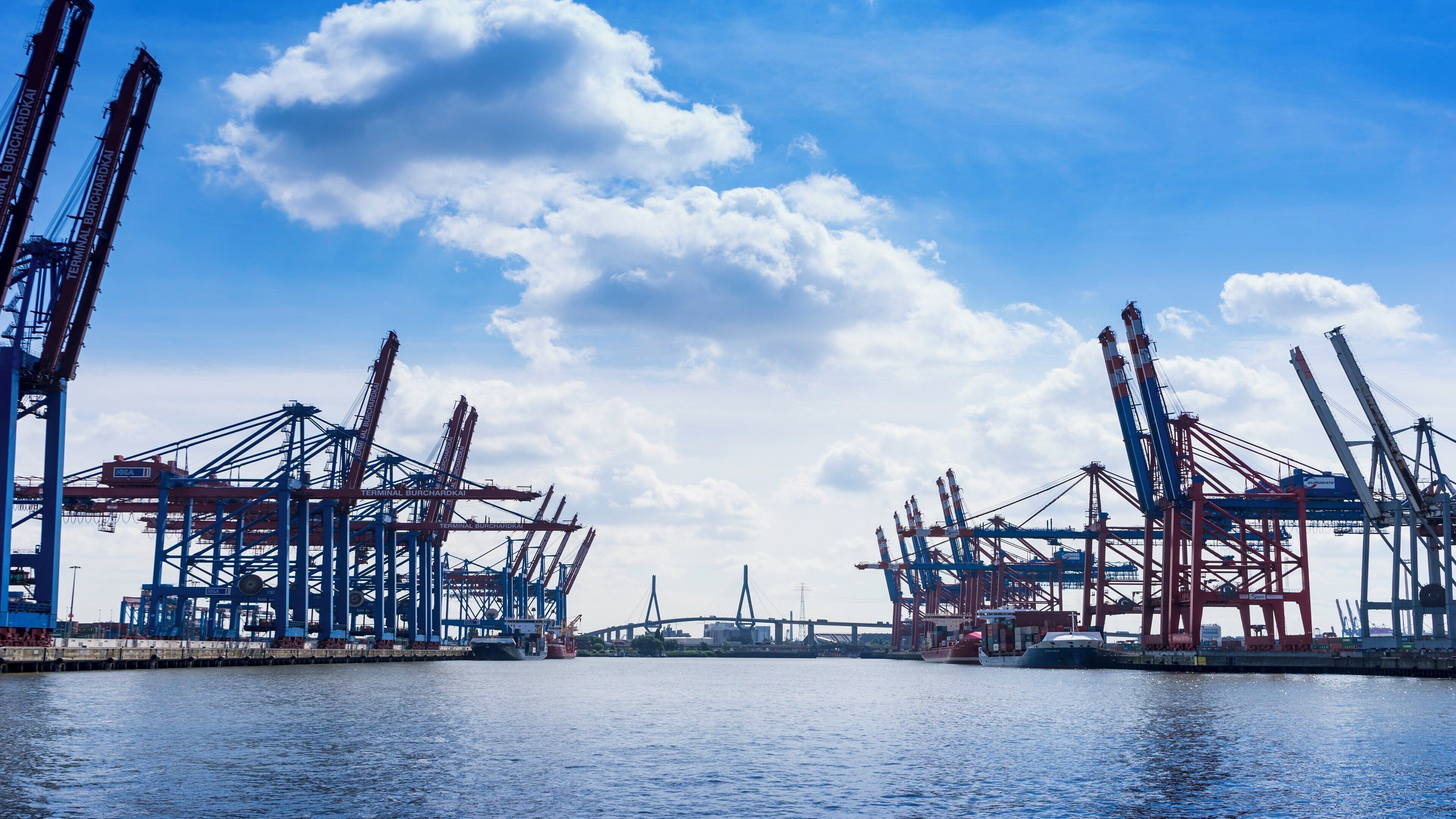A harbor with multiple cranes and a bridge in the background.