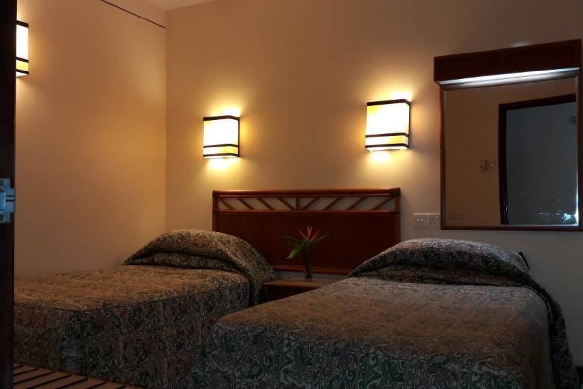 Une chambre d’hôtel avec deux lits, une tête de lit en bois, deux lampes fixées au mur, un miroir et une petite table sur laquelle est posée une plante.