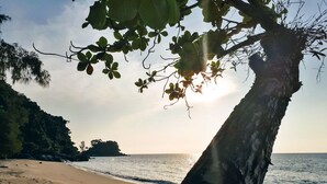Una playa con un árbol en primer plano y un cielo despejado.