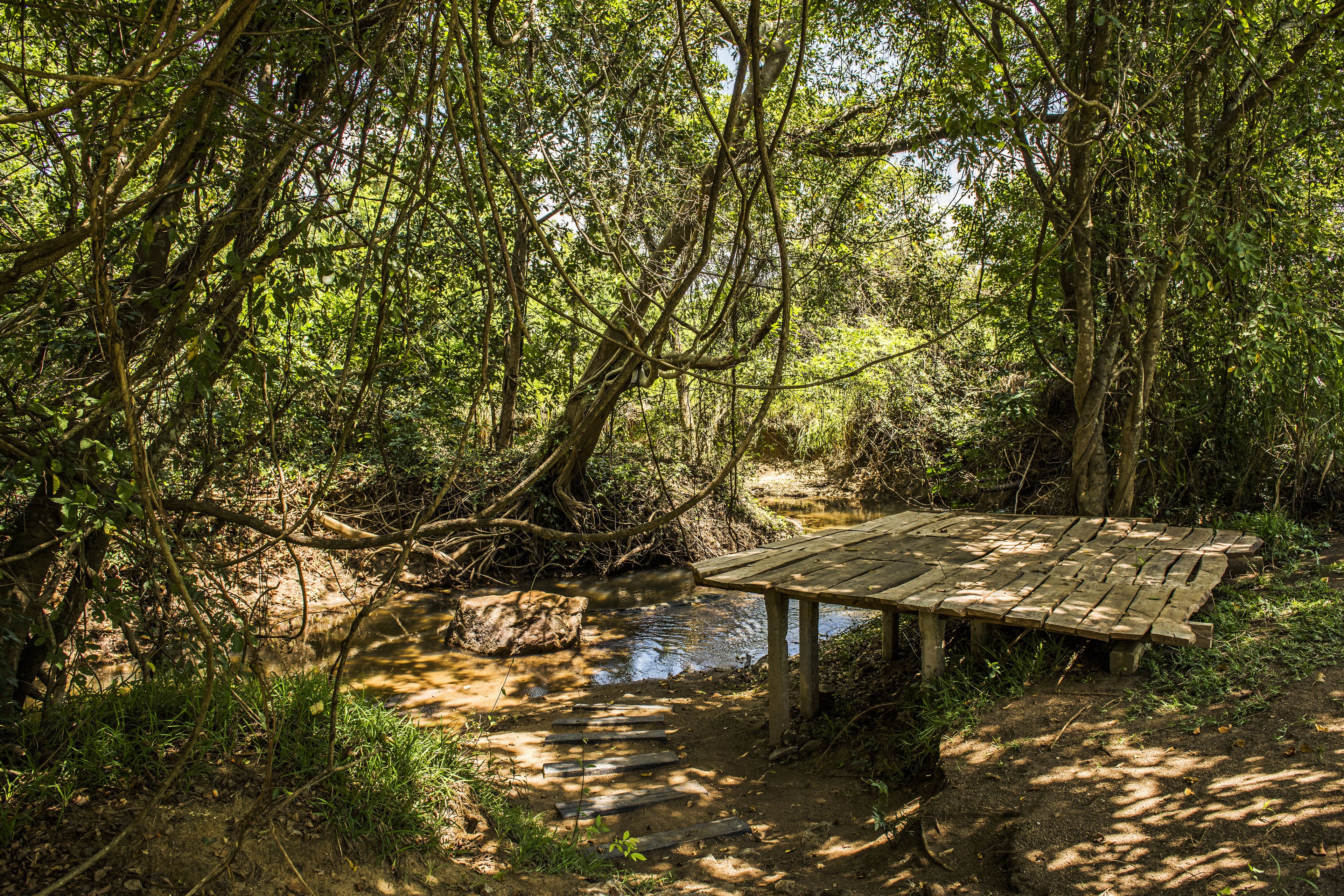 Un puente de madera que lleva a una mesa de picnic en un área boscosa con un arroyo.