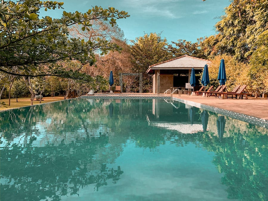 Outdoor pool, a natural pool, pool loungers