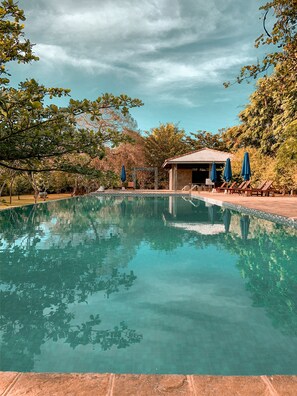 Une piscine aux eaux cristallines, dotée d’une terrasse en bois, de chaises longues et de parasols.