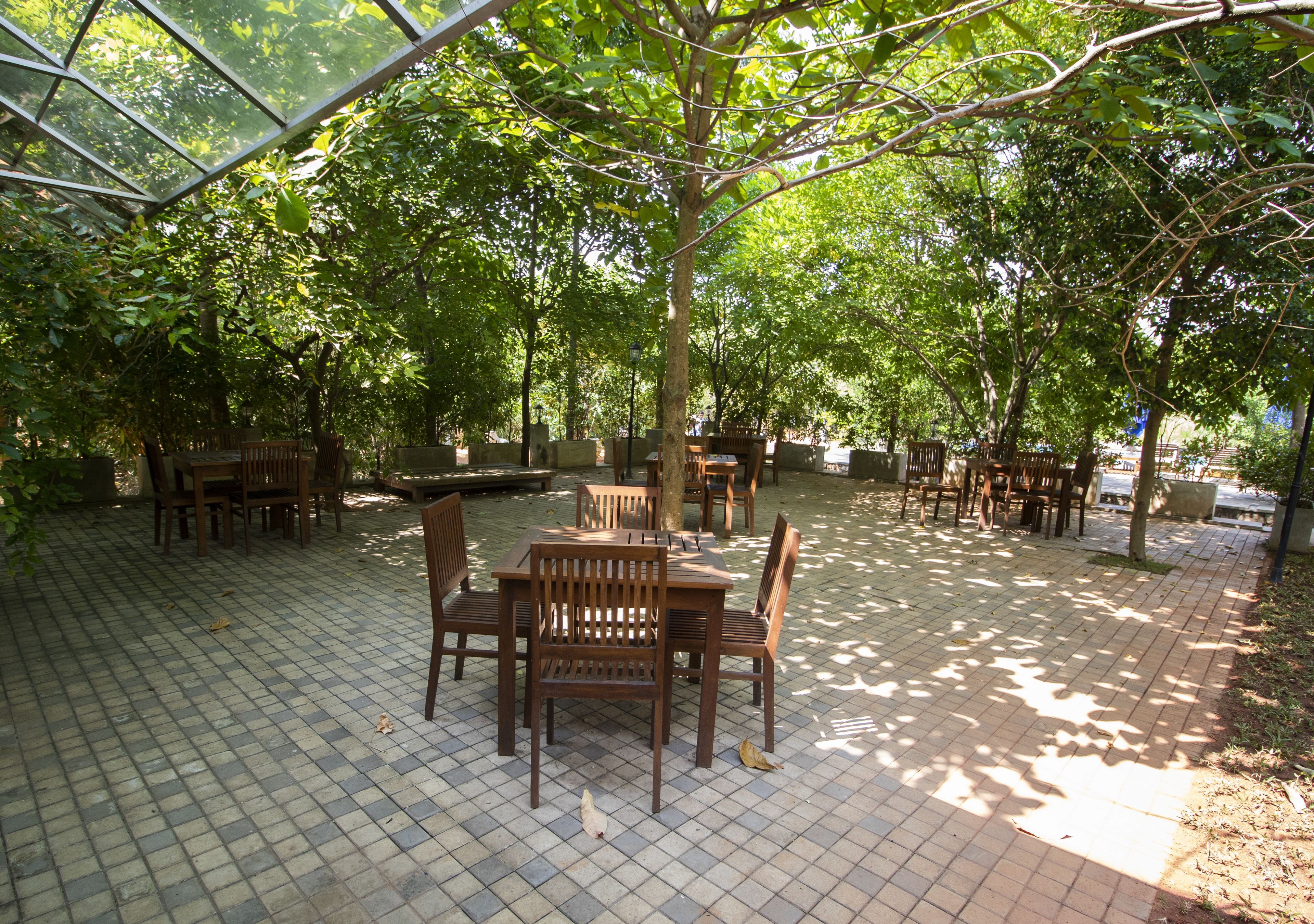 Un patio al aire libre con mesas y sillas de madera, rodeado de árboles y cubierto por una cubierta de vidrio.