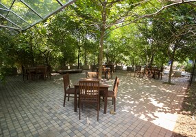 Un patio al aire libre con mesas y sillas de madera, rodeado de árboles y cubierto por una cubierta de vidrio.