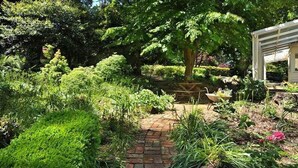 Garden - Coonara Cottage - Olinda (Olinda)