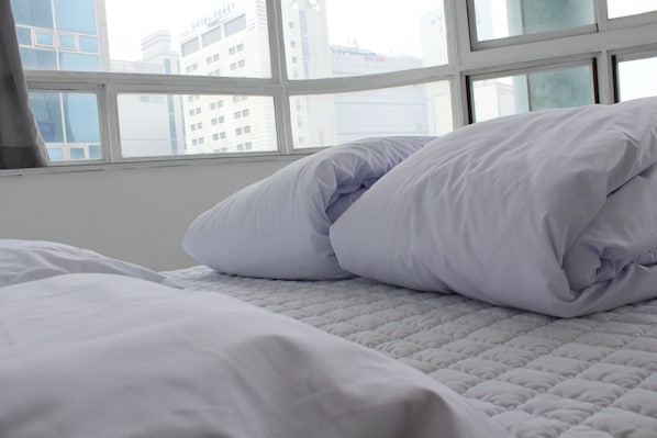 スイート | WiFi (無料)