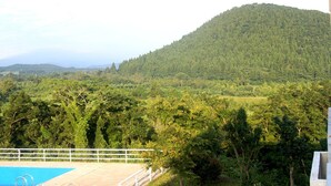 A pool with a white railing, surrounded by lush greenery and a hill in the background. - Geomunoreum Hostel (Jeju City)