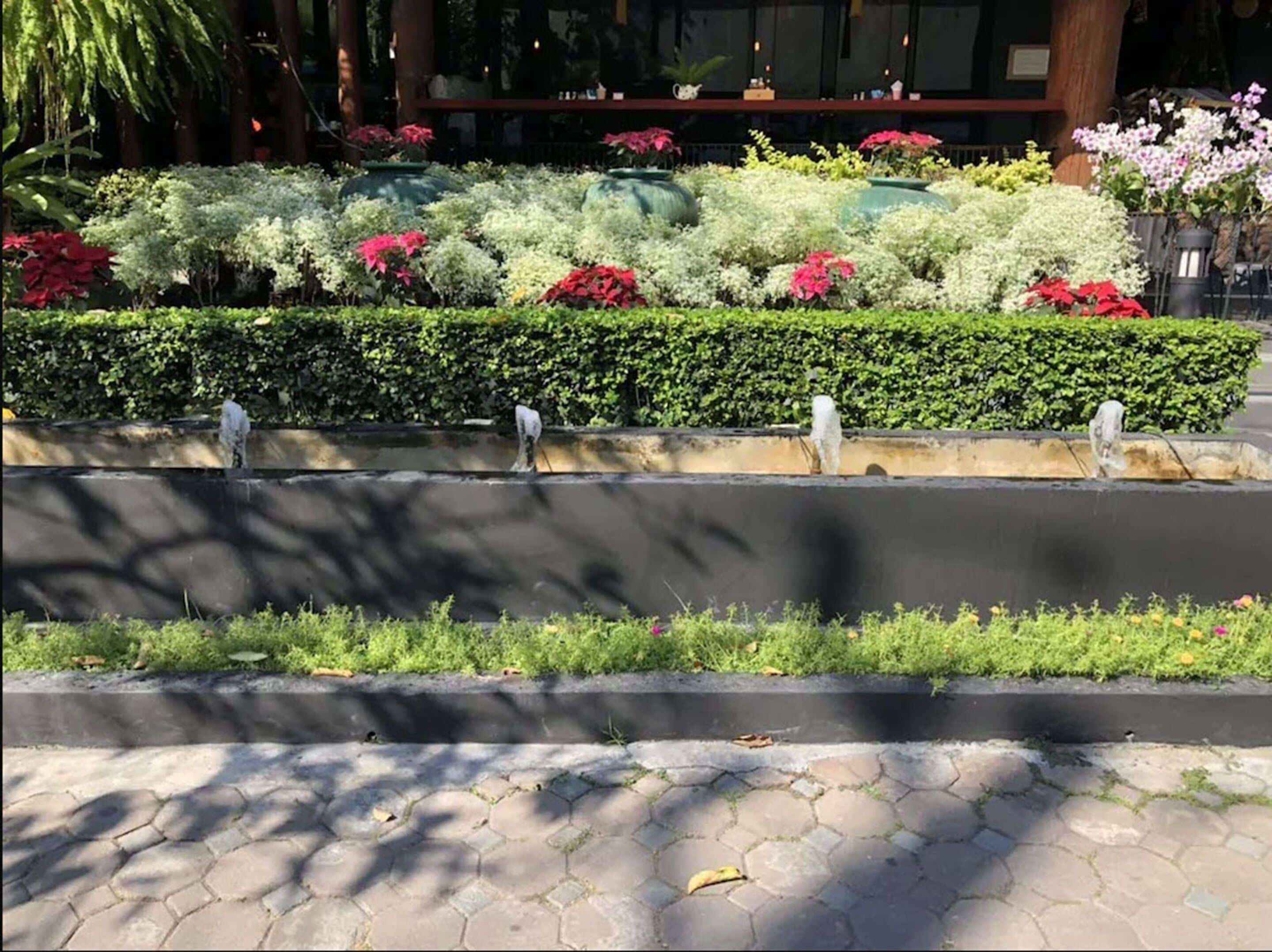 Un jardín ajardinado con diversas plantas y flores, un camino pavimentado y un edificio al fondo.