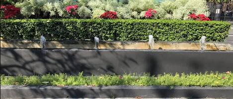 Un jardín ajardinado con diversas plantas y flores, un camino pavimentado y un edificio al fondo.