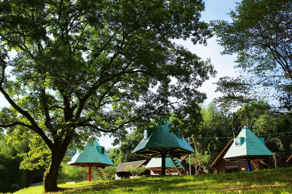 Zweibettzimmer (Tree shaped house) | Kostenloses WLAN, Bettwäsche