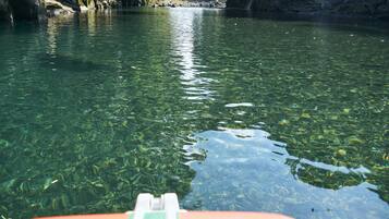 A clear view of a river with visible rocks and water.
