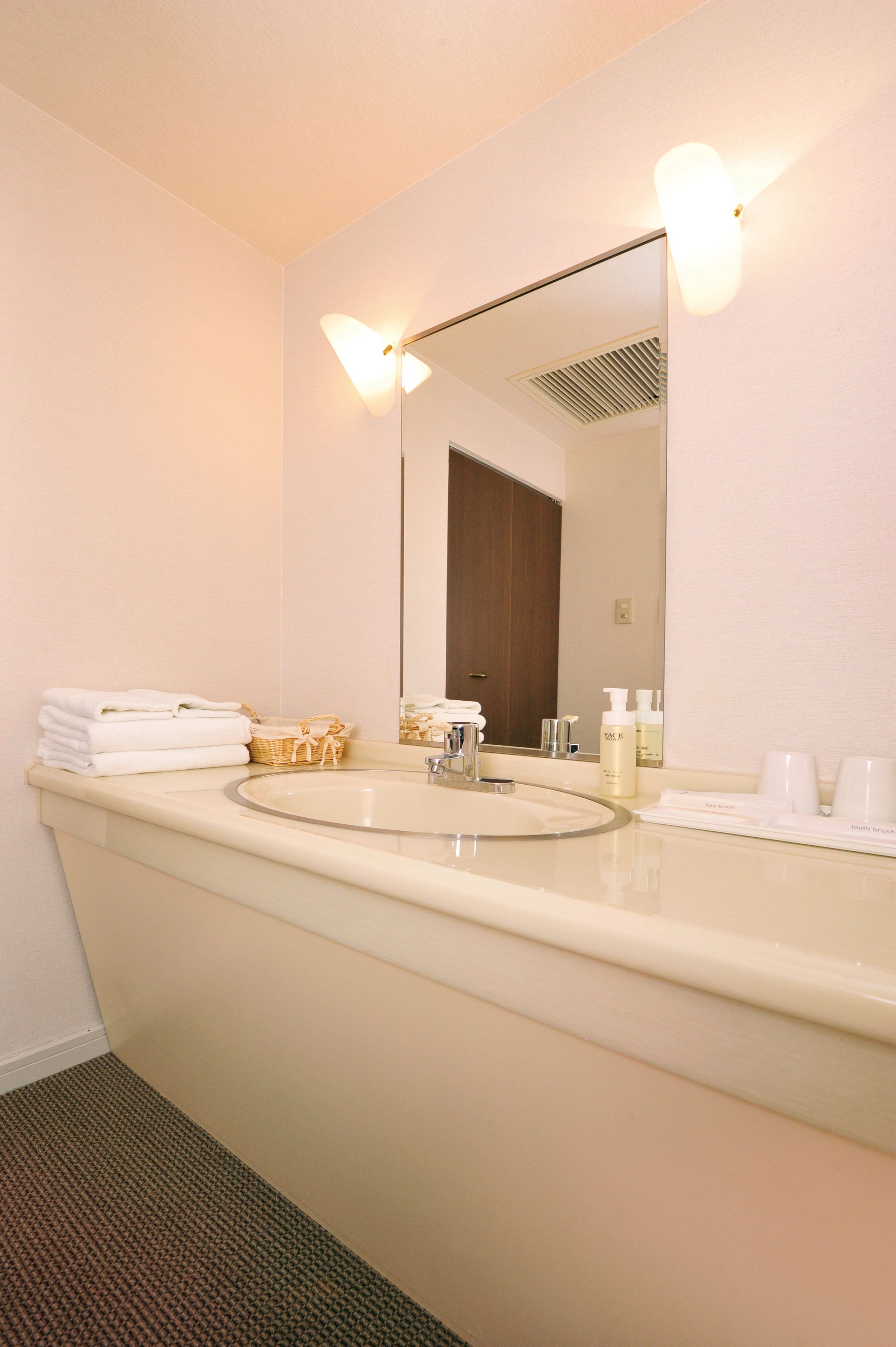 combined shower/bathtub, hair dryer, slippers, bidet