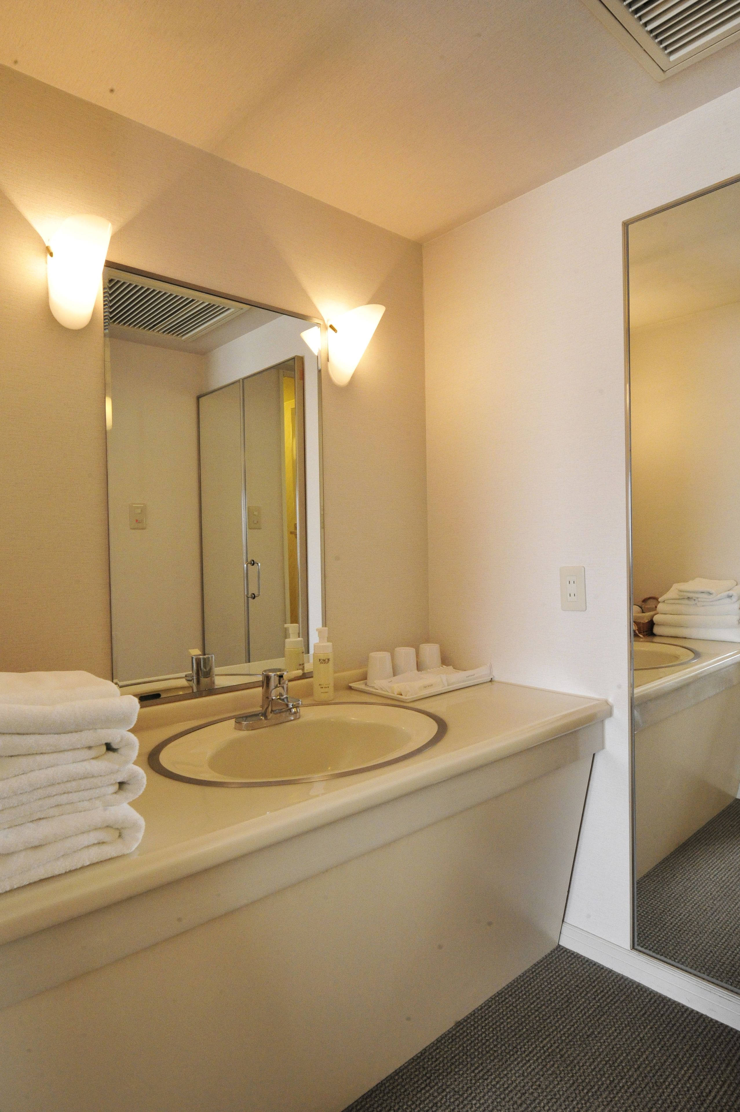 japanese western style room, non smoking (68㎡) | bathroom | combined shower/bathtub, hair dryer, slippers, bidet